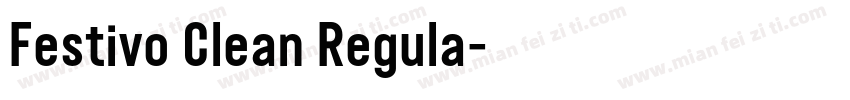 Festivo Clean Regula字体转换